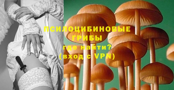 прущий лед Семёнов