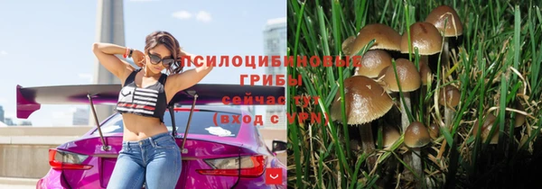 прущий лед Семёнов