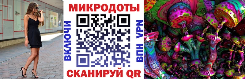 Купить закладки  Спасск-Дальний  Галлюциногенные грибы Psilocybe 
